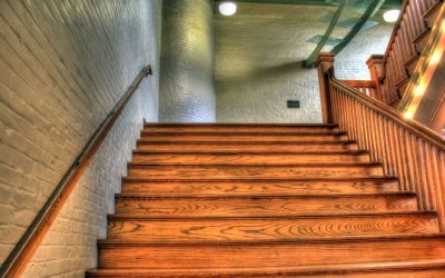 Escalier en bois : les différentes types d’essences