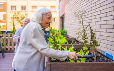 5 astuces pour intégrer un potager urbain dans votre décoration intérieure