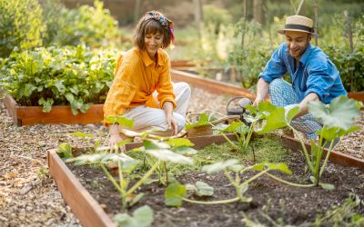 Paillage en ardoise : comment faire ?